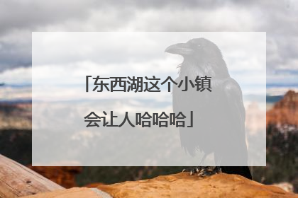 东西湖这个小镇会让人哈哈哈