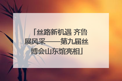 丝路新机遇 齐鲁展风采——第九届丝博会山东馆亮相
