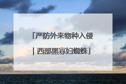 严防外来物种入侵｜西部黑寡妇蜘蛛