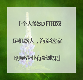 个人能3D打印双足机器人，海淀这家明星企业有新成果