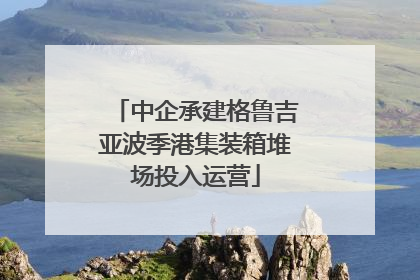 中企承建格鲁吉亚波季港集装箱堆场投入运营