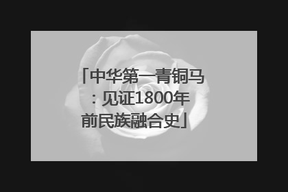 中华第一青铜马：见证1800年前民族融合史