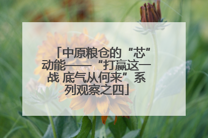 中原粮仓的“芯”动能——“打赢这一战 底气从何来”系列观察之四