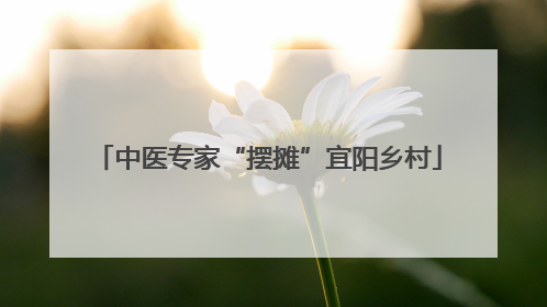 中医专家“摆摊”宜阳乡村