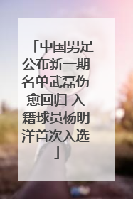 中国男足公布新一期名单武磊伤愈回归 入籍球员杨明洋首次入选