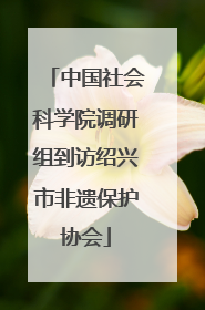 中国社会科学院调研组到访绍兴市非遗保护协会
