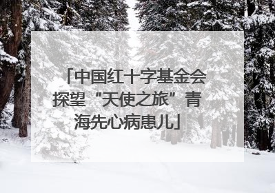 中国红十字基金会探望“天使之旅”青海先心病患儿