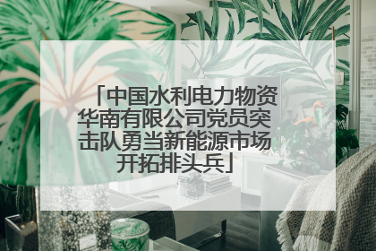 中国水利电力物资华南有限公司党员突击队勇当新能源市场开拓排头兵