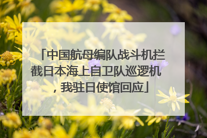 中国航母编队战斗机拦截日本海上自卫队巡逻机，我驻日使馆回应