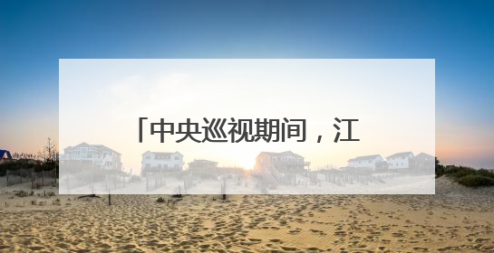 中央巡视期间，江西多人主动向组织交代问题｜打虎拍蝇