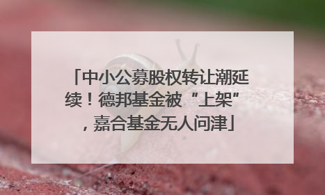 中小公募股权转让潮延续！德邦基金被“上架”，嘉合基金无人问津