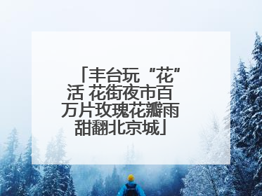 丰台玩“花”活 花街夜市百万片玫瑰花瓣雨甜翻北京城