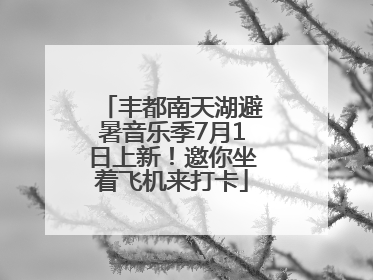 丰都南天湖避暑音乐季7月1日上新！邀你坐着飞机来打卡