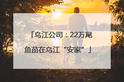 乌江公司：22万尾鱼苗在乌江“安家”