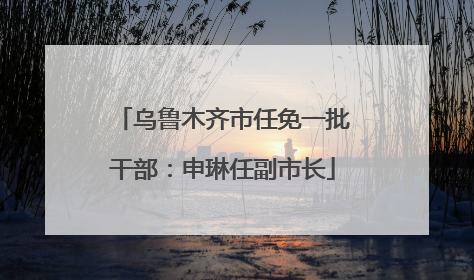 乌鲁木齐市任免一批干部：申琳任副市长