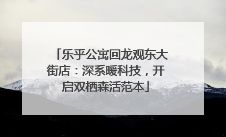 乐乎公寓回龙观东大街店：深系暖科技，开启双栖森活范本