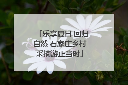 乐享夏日 回归自然 石家庄乡村采摘游正当时