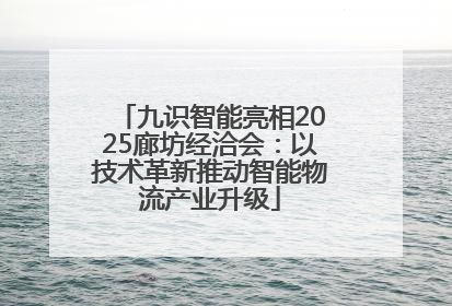 九识智能亮相2025廊坊经洽会：以技术革新推动智能物流产业升级