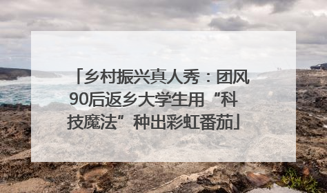 乡村振兴真人秀：团风90后返乡大学生用“科技魔法”种出彩虹番茄