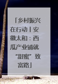 乡村振兴在行动丨安徽太和：西瓜产业铺就“甜蜜”致富路