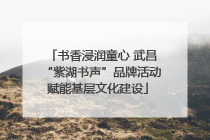 书香浸润童心 武昌“紫湖书声”品牌活动赋能基层文化建设