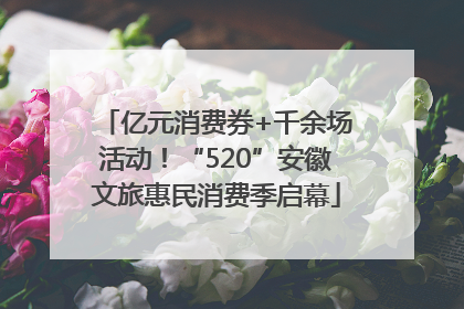 亿元消费券+千余场活动！“520”安徽文旅惠民消费季启幕