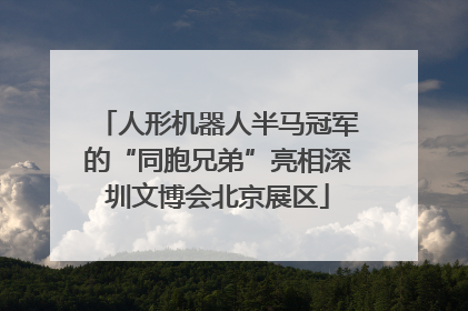 人形机器人半马冠军的“同胞兄弟”亮相深圳文博会北京展区
