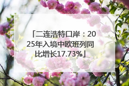 二连浩特口岸：2025年入境中欧班列同比增长17.73%