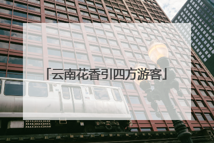 云南花香引四方游客