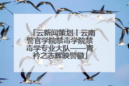 云新闻策划丨云南警官学院禁毒学院禁毒学专业大队——青衿之志辉映警徽