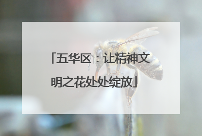 五华区：让精神文明之花处处绽放