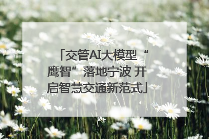 交管AI大模型“鹰智”落地宁波 开启智慧交通新范式