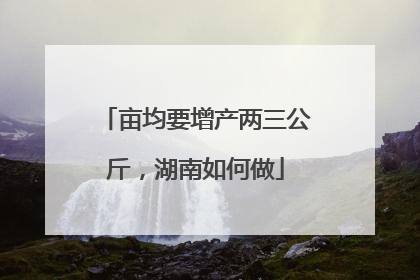 亩均要增产两三公斤，湖南如何做