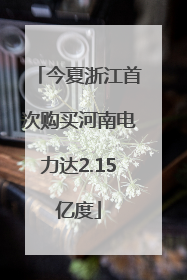 今夏浙江首次购买河南电力达2.15亿度