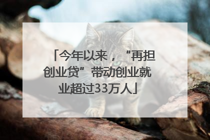 今年以来，“再担创业贷”带动创业就业超过33万人