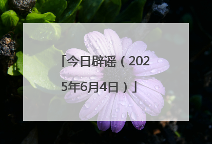 今日辟谣（2025年6月4日）