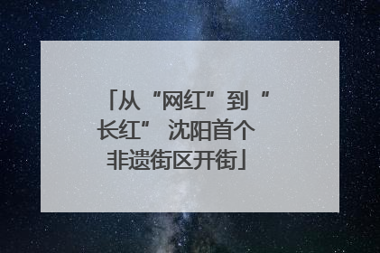 从“网红”到“长红” 沈阳首个非遗街区开街