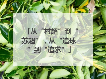 从“村超”到“苏超”，从“追球”到“追求”