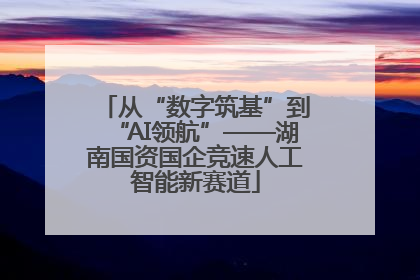 从“数字筑基”到“AI领航”——湖南国资国企竞速人工智能新赛道