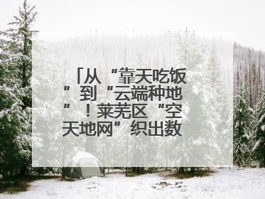 从“靠天吃饭”到“云端种地”！莱芜区“空天地网”织出数字农业新图景