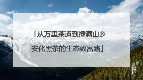 从万里茶道到绿满山乡 安化黑茶的生态致富路