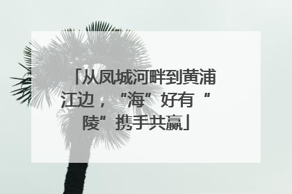 从凤城河畔到黄浦江边，“海”好有“陵”携手共赢
