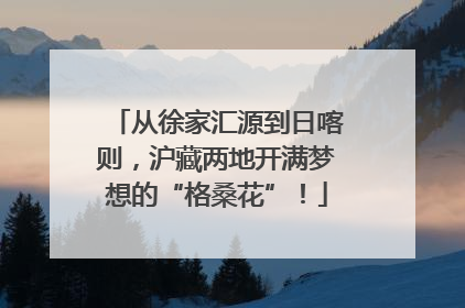 从徐家汇源到日喀则，沪藏两地开满梦想的“格桑花”！