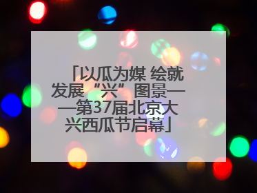 以瓜为媒 绘就发展“兴”图景——第37届北京大兴西瓜节启幕