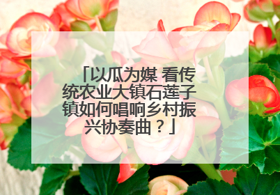 以瓜为媒 看传统农业大镇石莲子镇如何唱响乡村振兴协奏曲？