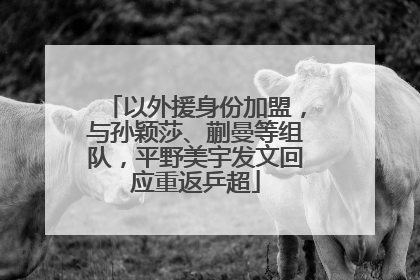 以外援身份加盟，与孙颖莎、蒯曼等组队，平野美宇发文回应重返乒超