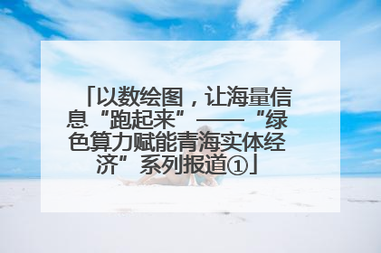 以数绘图，让海量信息“跑起来”——“绿色算力赋能青海实体经济”系列报道①