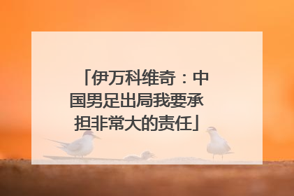 伊万科维奇：中国男足出局我要承担非常大的责任