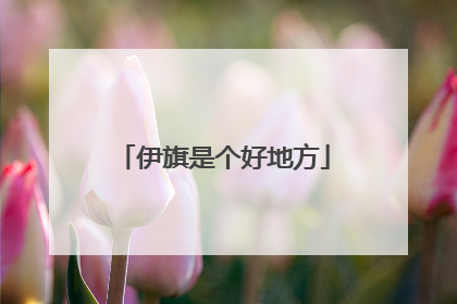 伊旗是个好地方