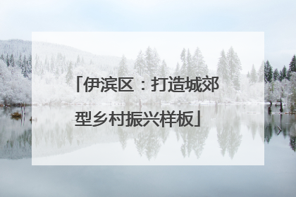 伊滨区：打造城郊型乡村振兴样板